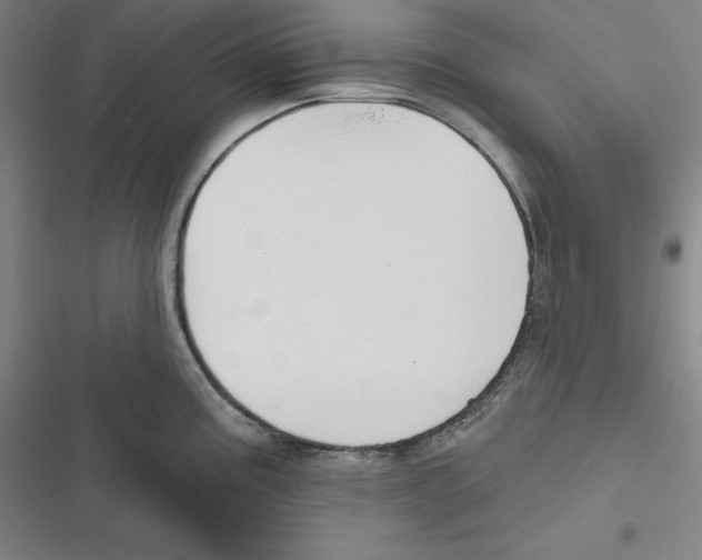 X0000116651195201001111222