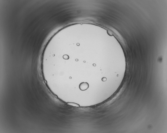 X0000116651196201001111222