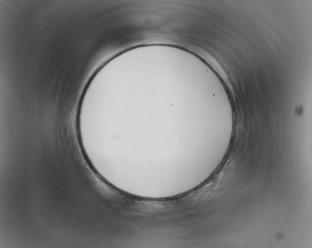 X0000116651197201001111222