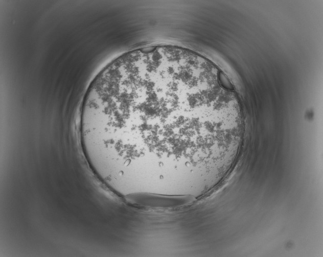 X0000116651198201001111222