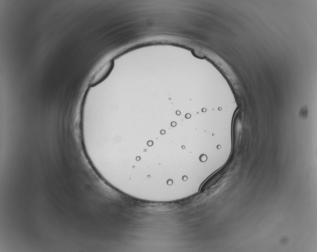 X0000116651199201001111222