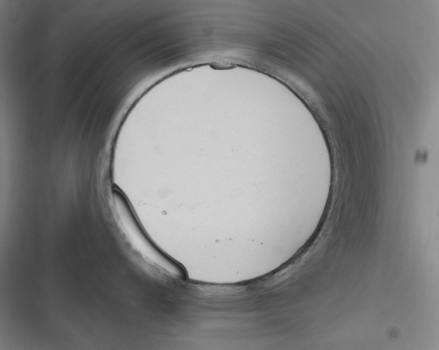 X0000116651200201001111222