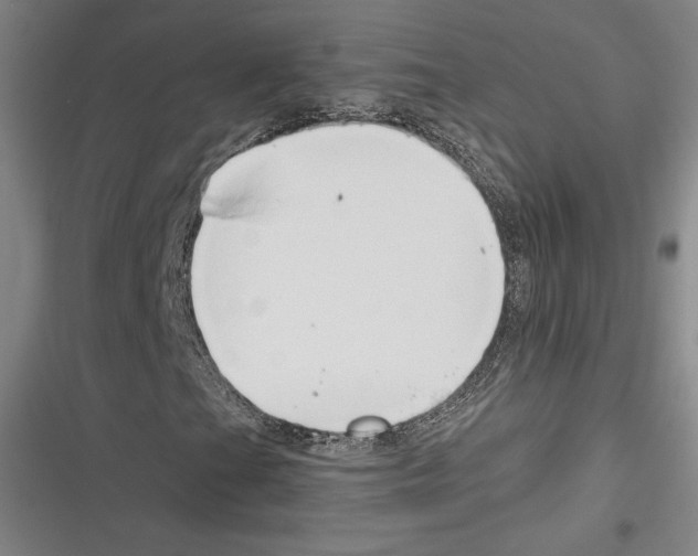 X0000116651201201001111222