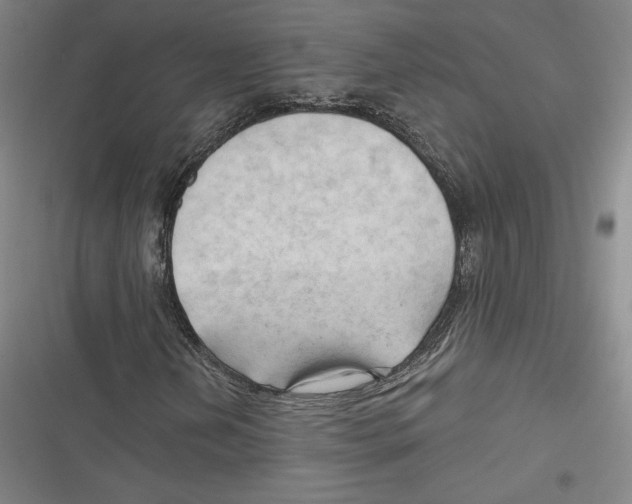 X0000116651202201001111222