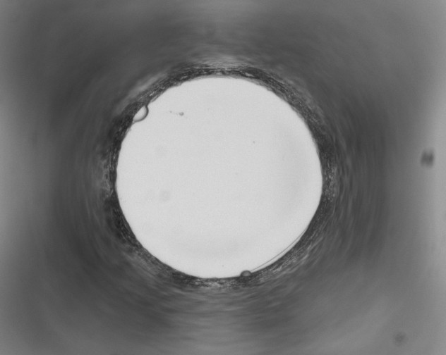 X0000116651205201001111222