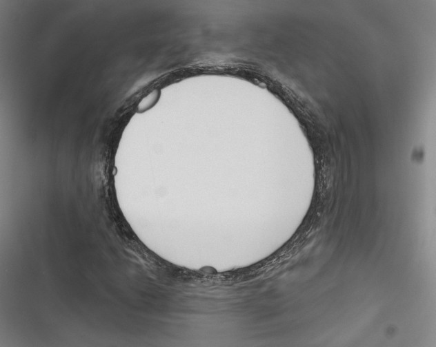 X0000116651206201001111222