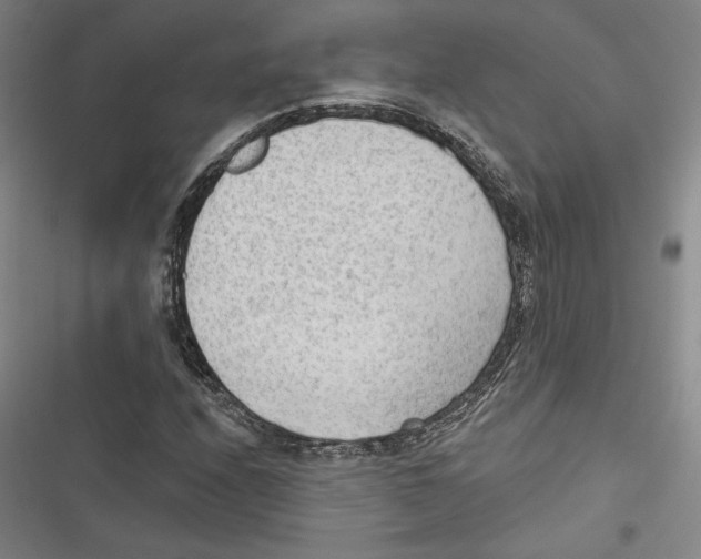 X0000116651208201001111222