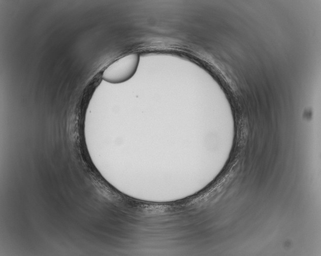 X0000116651211201001111222