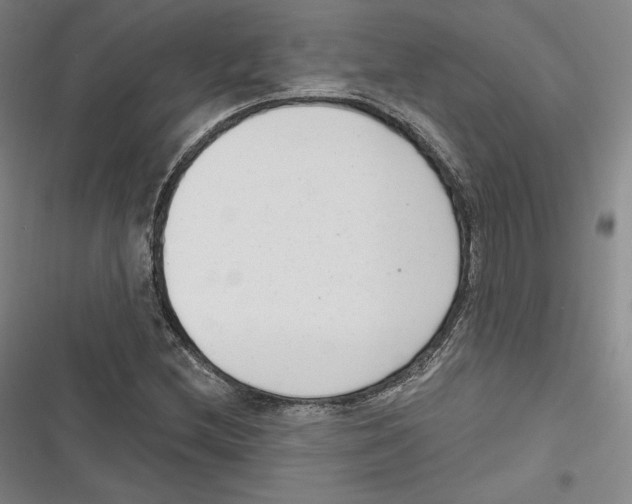 X0000116651212201001111222