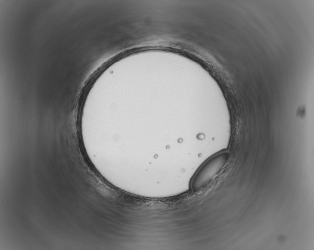 X0000116651216201001111222