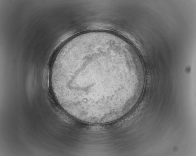 X0000116651219201001111222