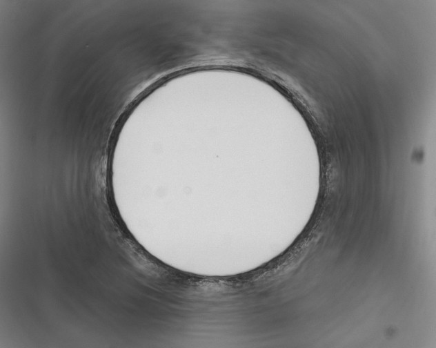 X0000116651220201001111222