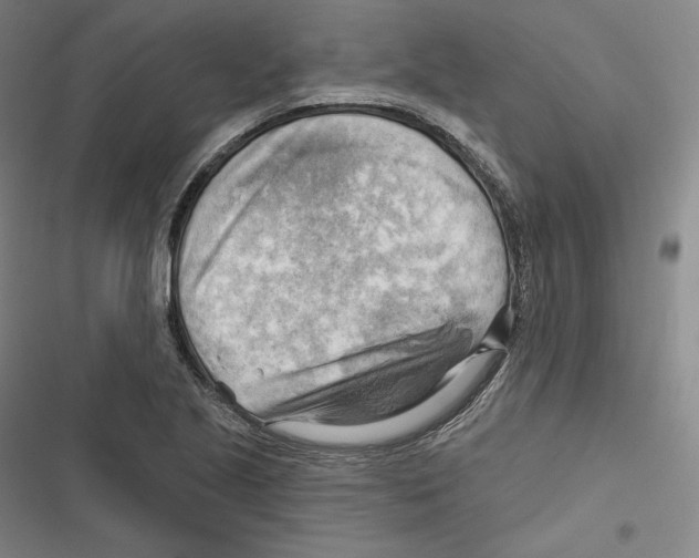 X0000116651221201001111222