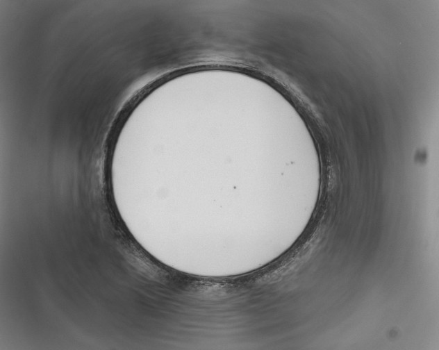 X0000116651222201001111222