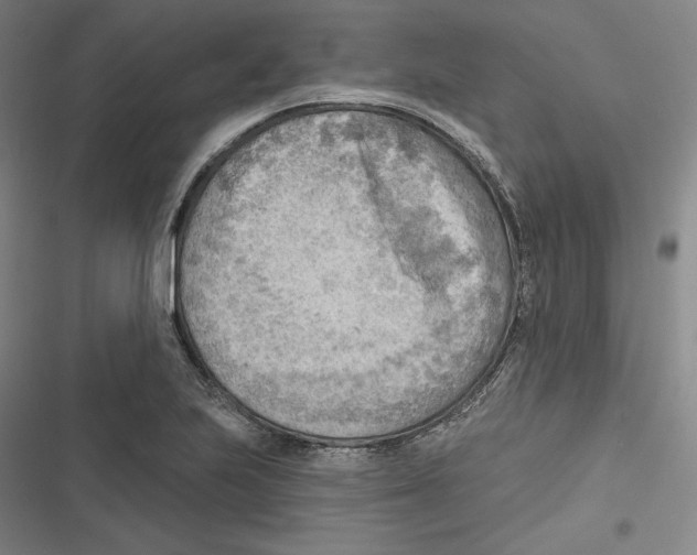 X0000116651223201001111222