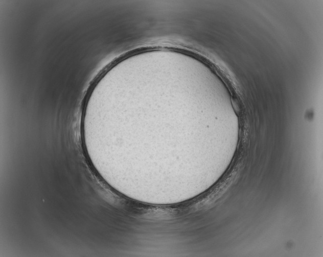 X0000116651224201001111222