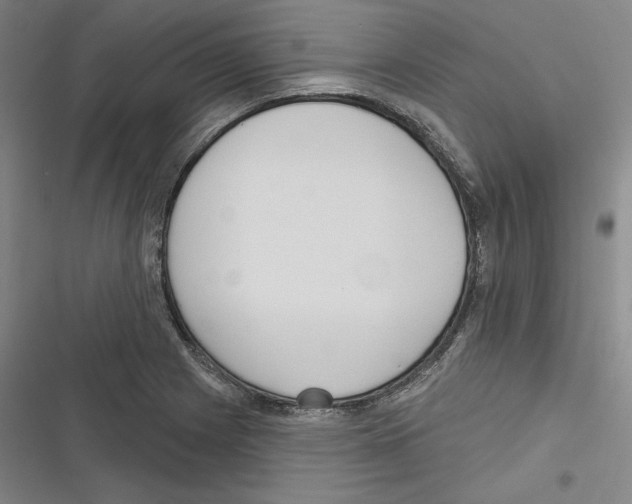 X0000116651225201001111222