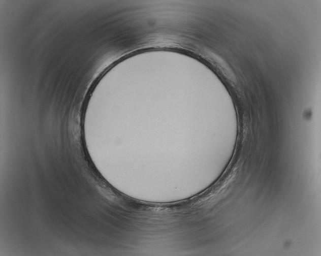 X0000116651226201001111222