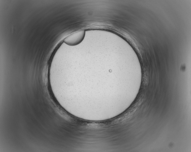 X0000116651227201001111222