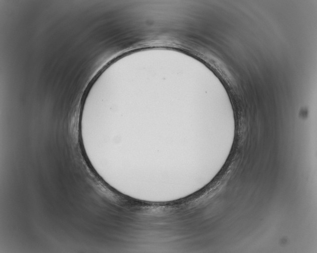 X0000116651228201001111222