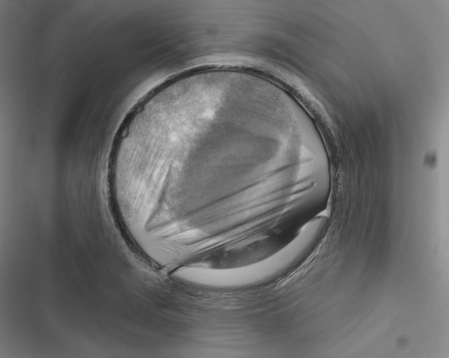 X0000116651229201001111222