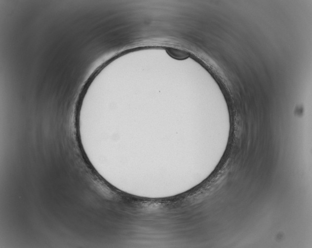 X0000116651230201001111222