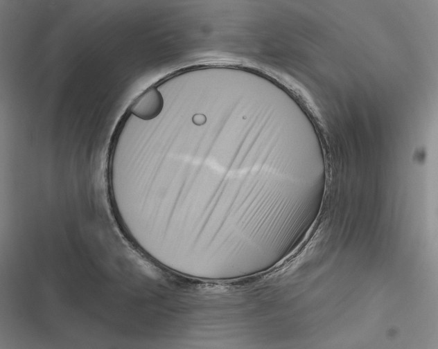 X0000116651231201001111222