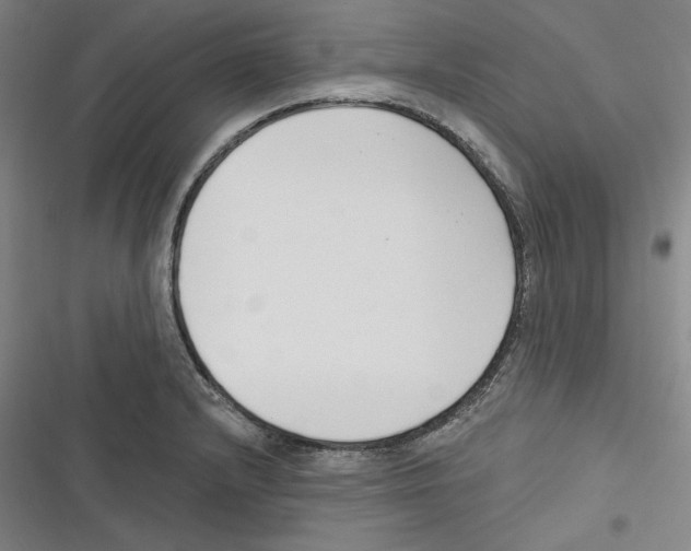 X0000116651232201001111222