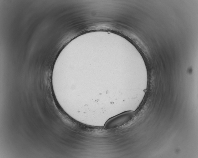 X0000116651233201001111222