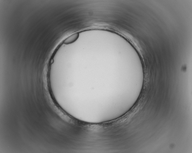 X0000116651235201001111222