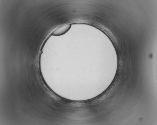 X0000116651236201001111222