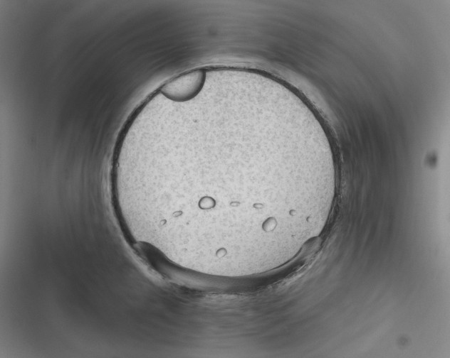 X0000116651237201001111222