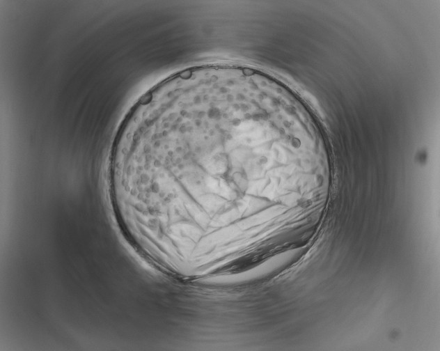 X0000116651239201001111222