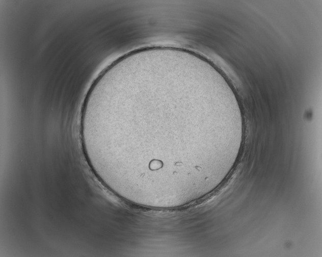 X0000116651240201001111222