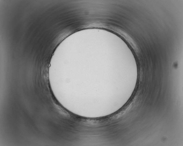 X0000116651241201001111222