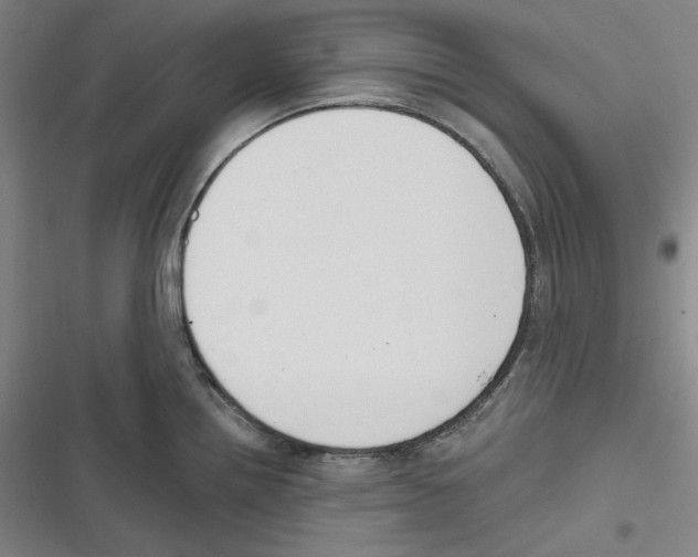 X0000116651242201001111222