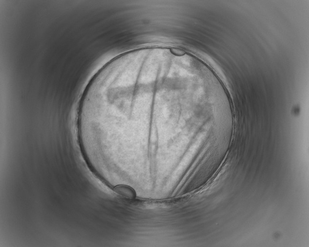 X0000116651243201001111222