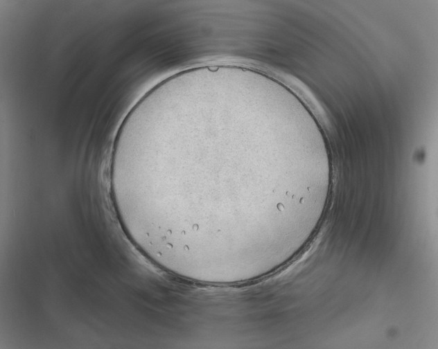 X0000116651244201001111222