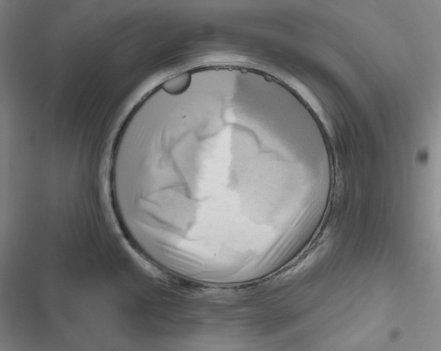 X0000116651245201001111222