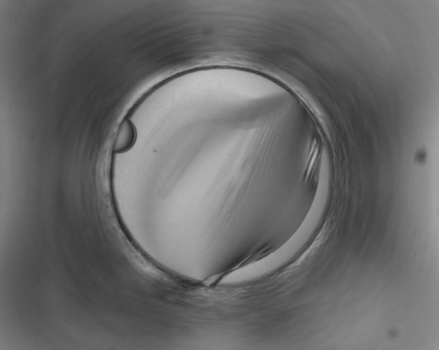 X0000116651246201001111222