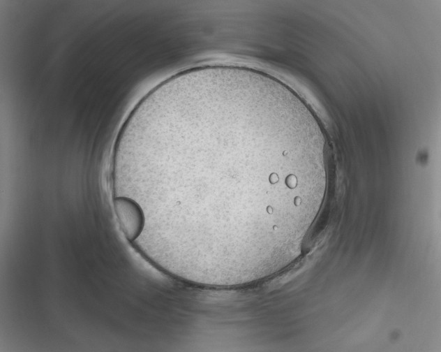 X0000116651247201001111222