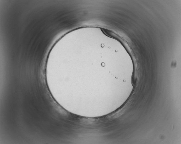 X0000116651248201001111222