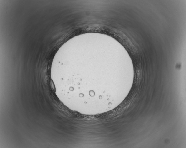 X0000116651250201001111222