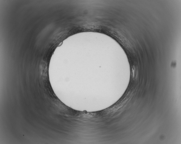 X0000116651251201001111222