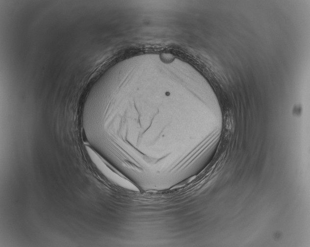 X0000116651252201001111222