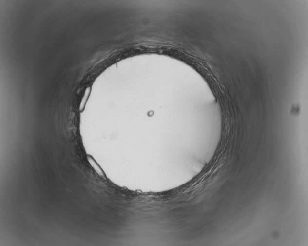 X0000116651253201001111222