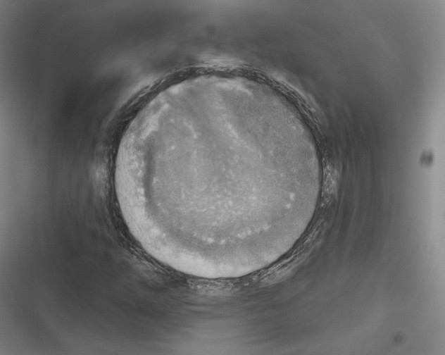 X0000116651254201001111222