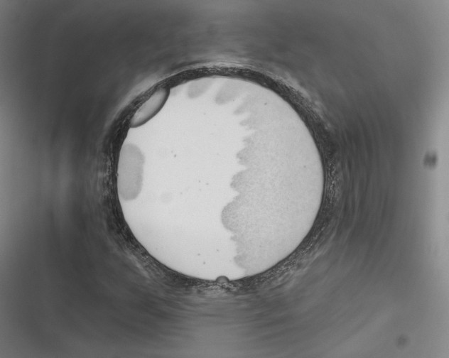 X0000116651255201001111222