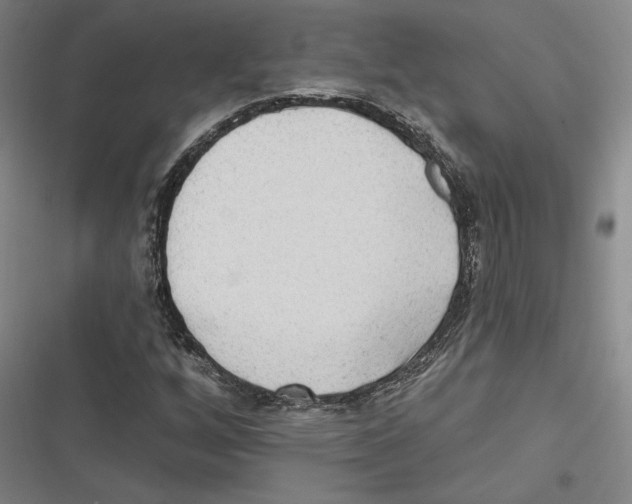 X0000116651256201001111222