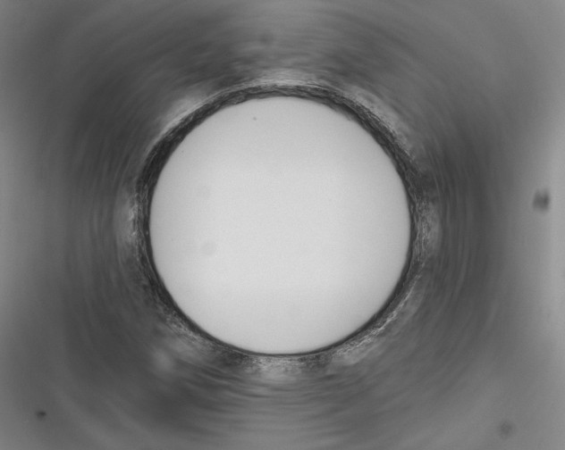 X0000116651258201001111222